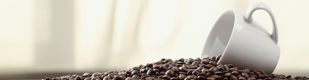 Titelbild Success Story Lavazza Professional Routenplanung mit OPTANO